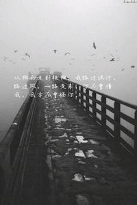 dzdlq文集